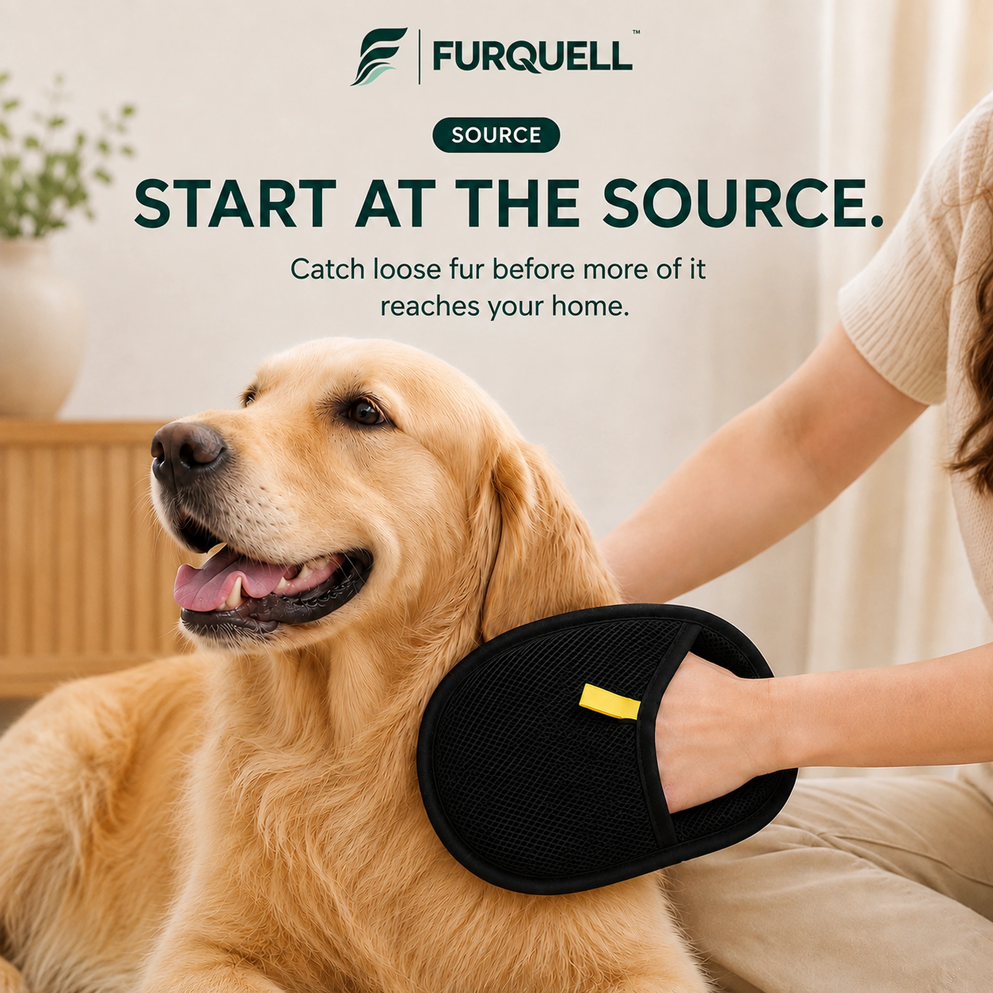 Person grooming a golden retriever with the FURQUELL grooming mitt